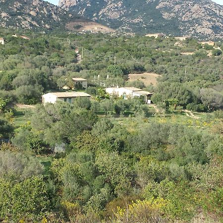 Agriturismo Agrisole Olbia Kültér fotó