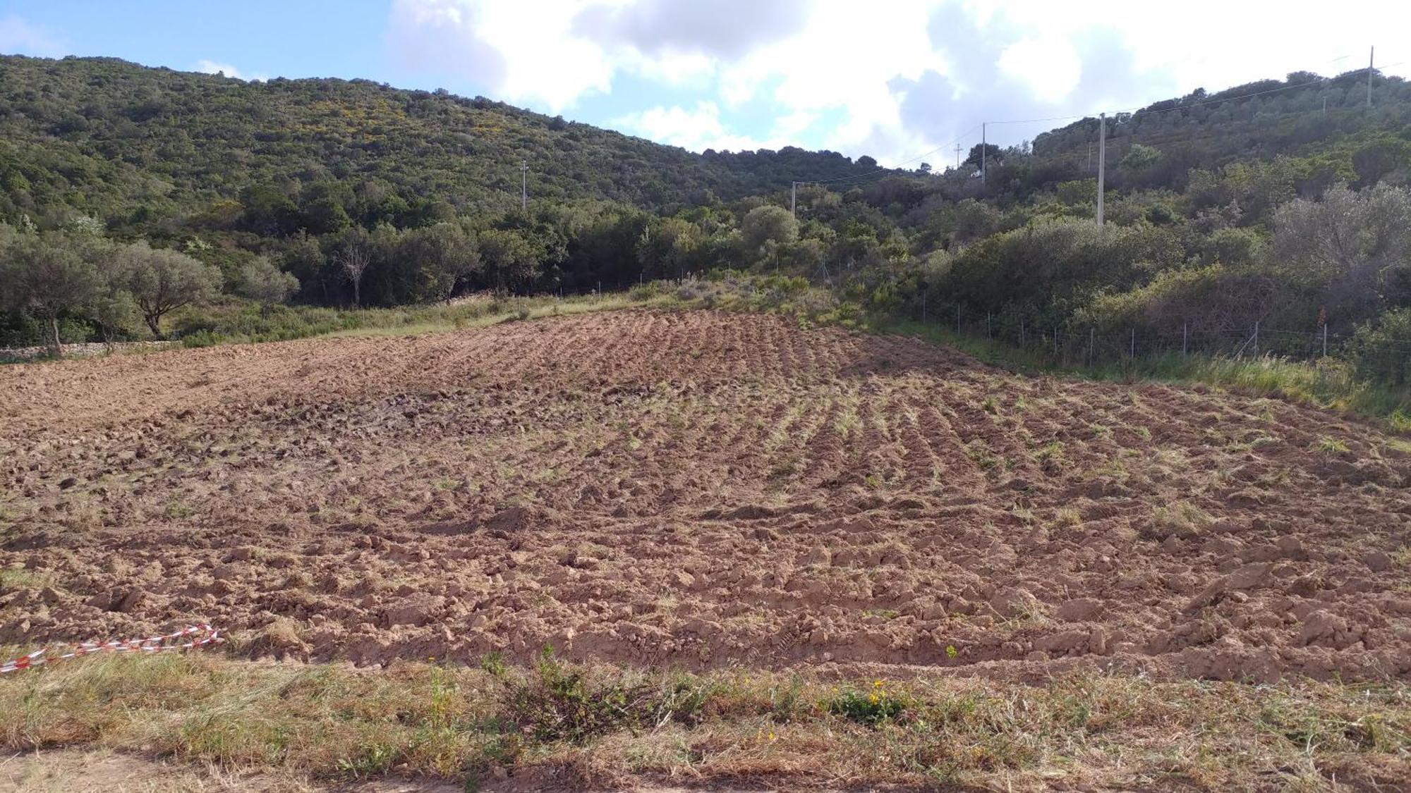 Agriturismo Agrisole Olbia Kültér fotó