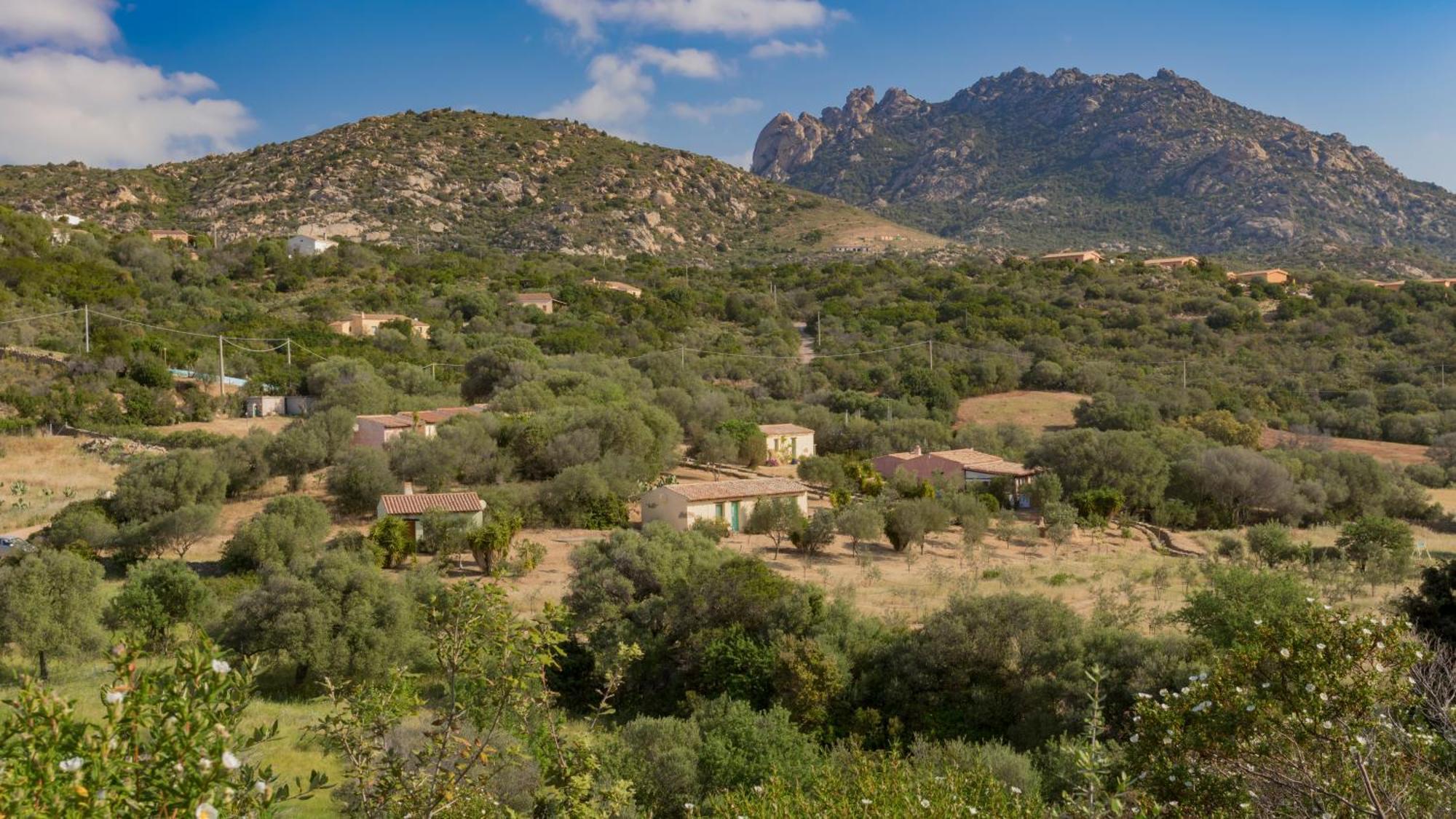 Agriturismo Agrisole Olbia Kültér fotó