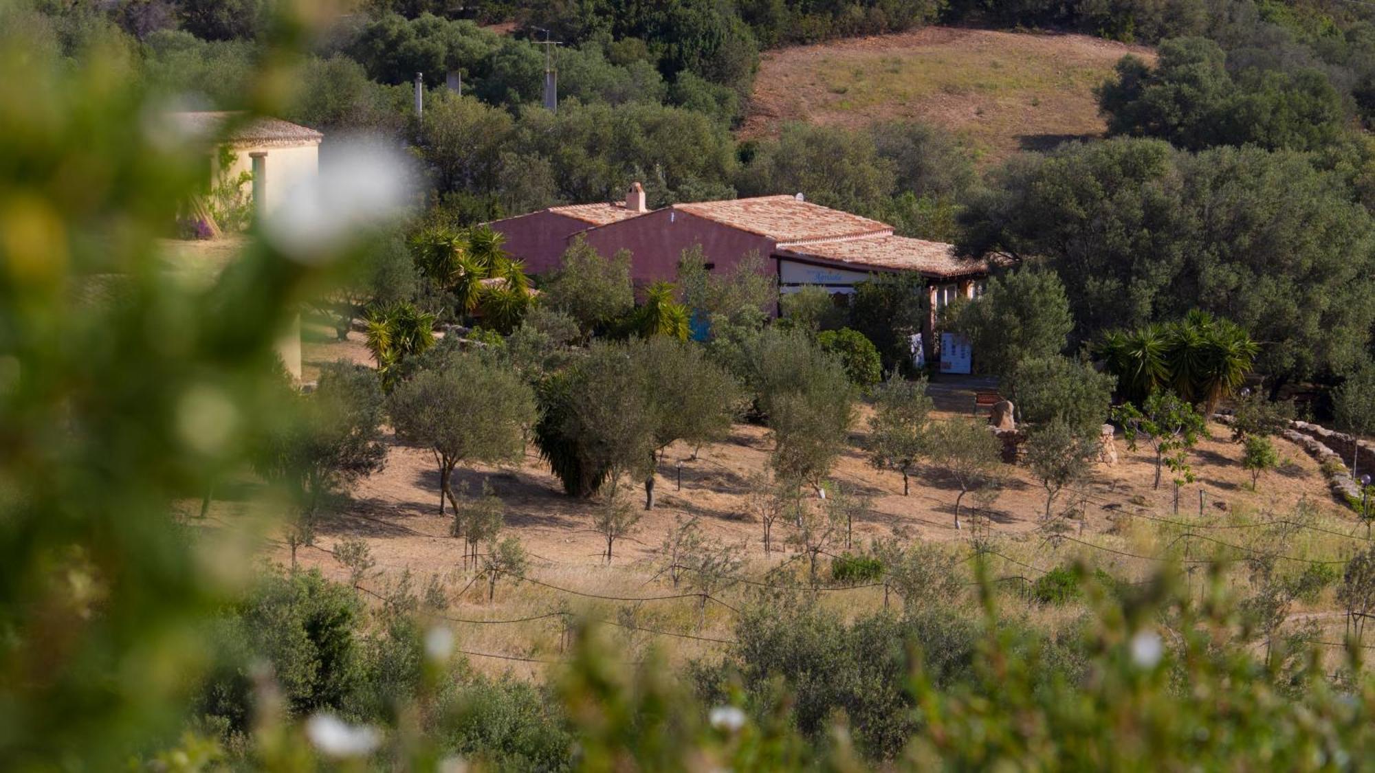 Agriturismo Agrisole Olbia Kültér fotó
