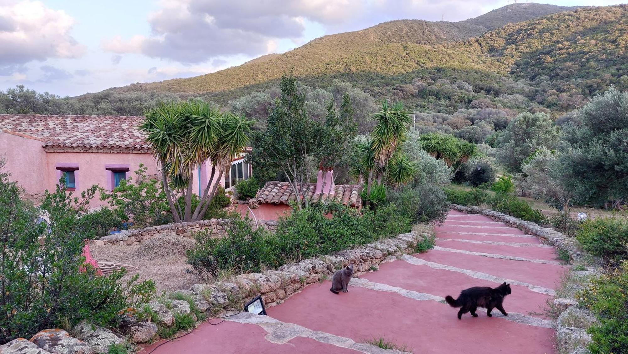 Agriturismo Agrisole Olbia Kültér fotó