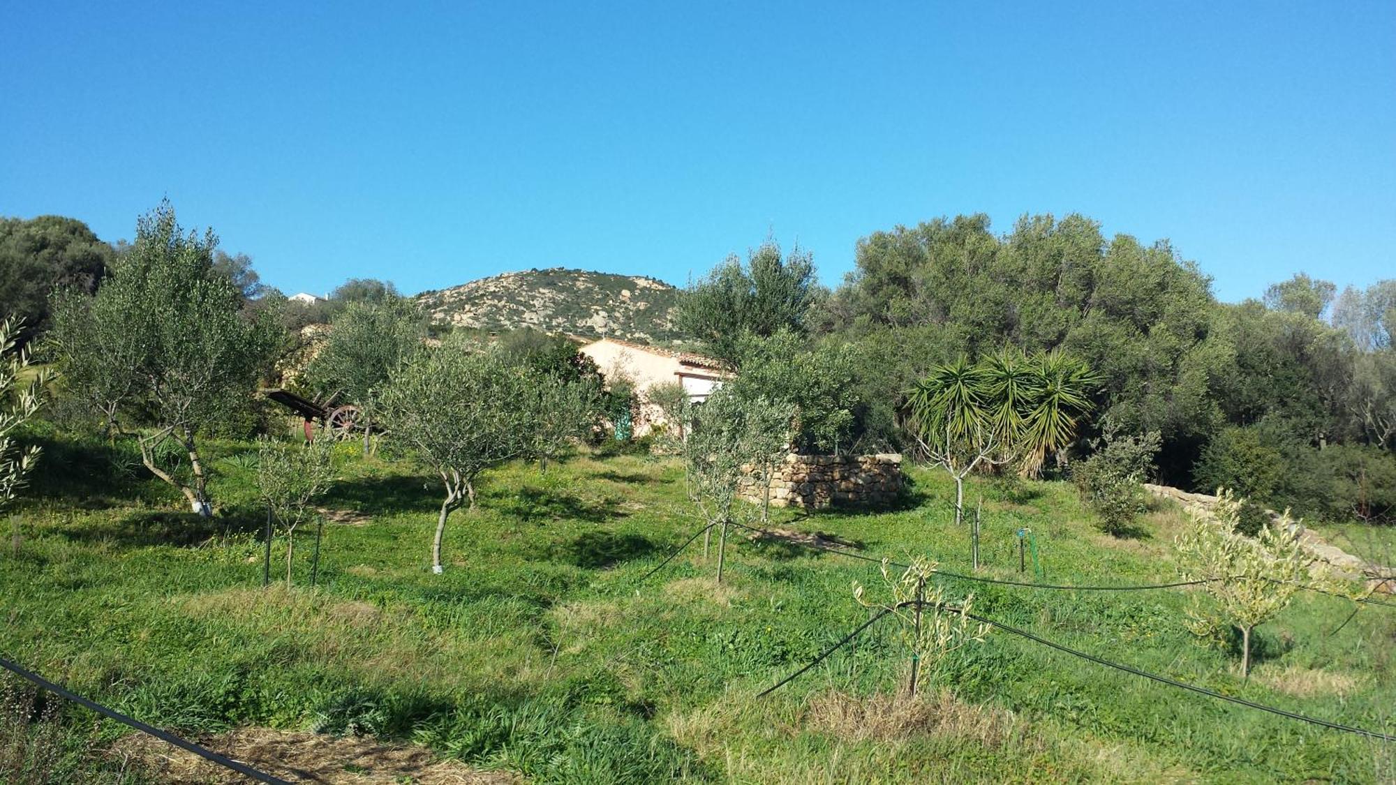Agriturismo Agrisole Olbia Kültér fotó